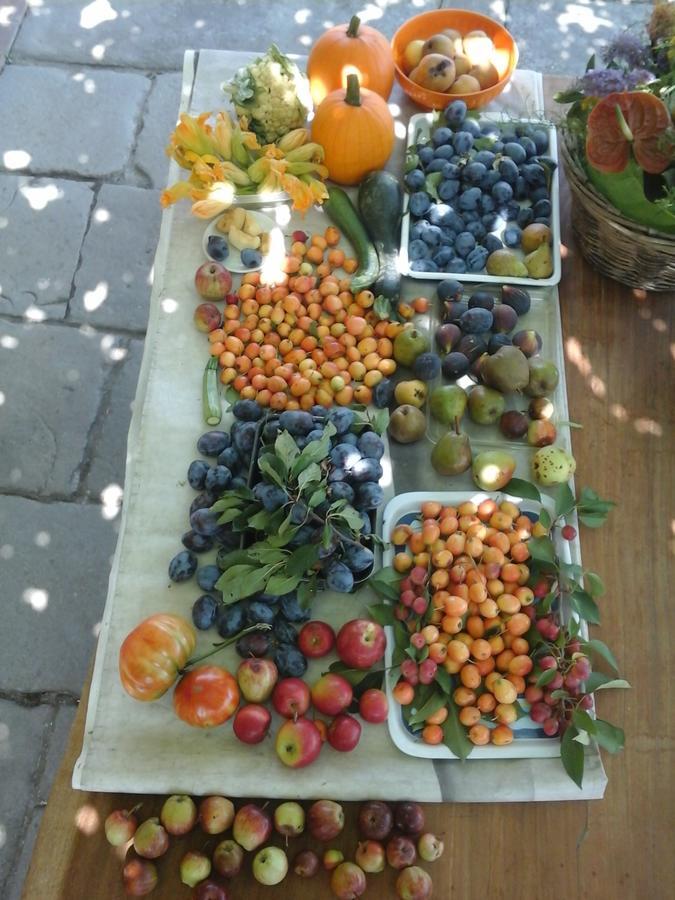 Bio&B Cascina Montebello Palazzago ภายนอก รูปภาพ