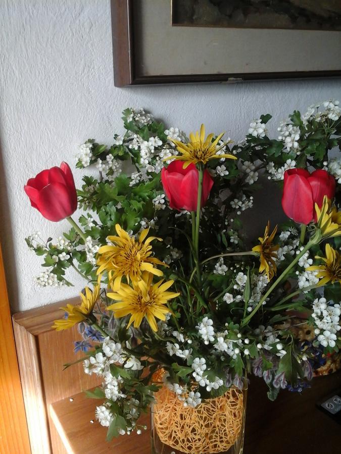 Bio&B Cascina Montebello Palazzago ภายนอก รูปภาพ