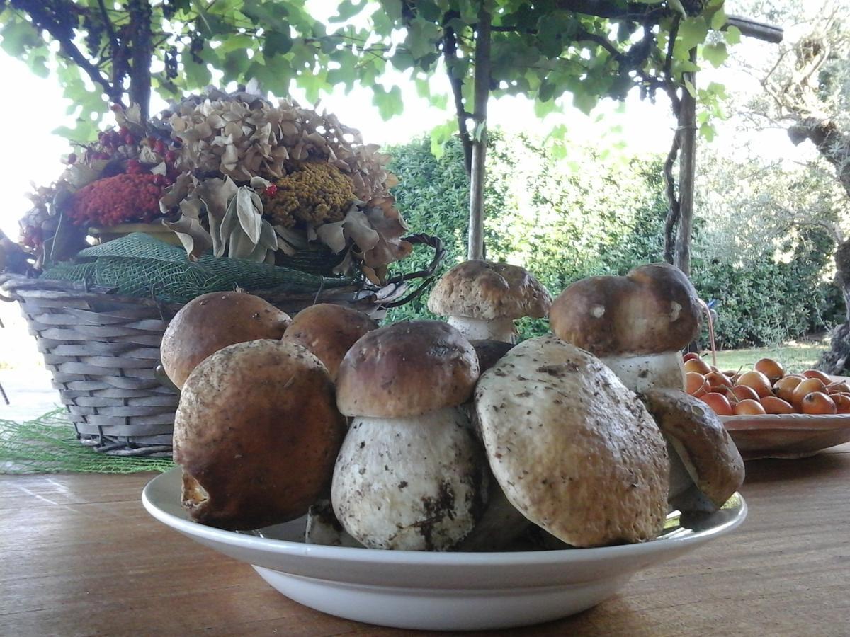 Bio&B Cascina Montebello Palazzago ภายนอก รูปภาพ